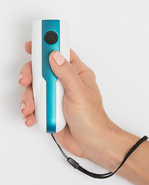 &ldquo;Doggie Don’t Handheld Dog Silencer&rdquo;