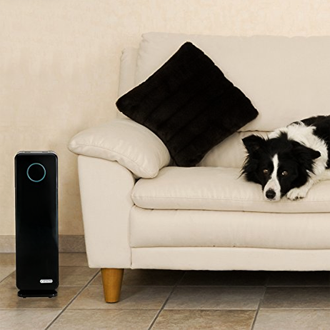 Germ Guardian Air Purifier