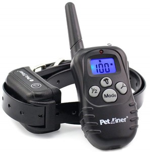 Best Bark Collars to Maintain the Silence