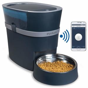 Best Automatic Dog Feeders for Timely Dinners